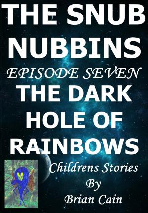 Cover of the book The Dark Hole Of Rainbows by Brian Cain
