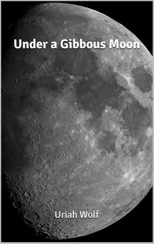 Cover of the book Under a Gibbous Moon by Sabrina Chase