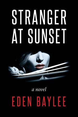 Book cover of Stranger at Sunset