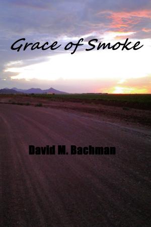 bigCover of the book Grace of Smoke by 