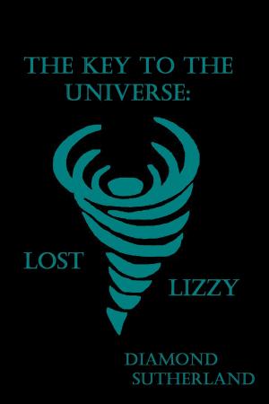 bigCover of the book The Key to the Universe: Lost Lizzy by 