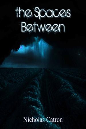 Cover of the book The Spaces Between by Talia Carner