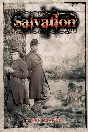 Cover of the book Salvation: A Novel of the Civil War by Evan J. Peterson