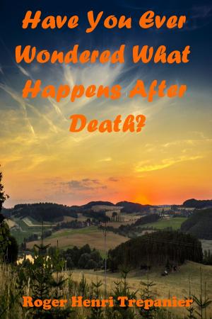 Cover of the book Have You Ever Wondered What Happens After Death? by Jason Fry