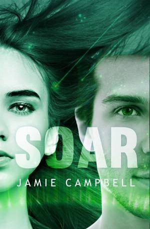 Book cover of Soar