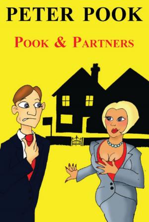 Cover of the book Pook & Partners by David Macpherson