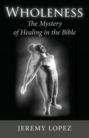 Book cover of Wholeness: The Mystery of Healing in the Bible