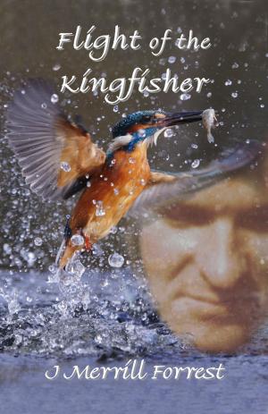 Cover of the book Flight of the Kingfisher by Hugo Gernsback