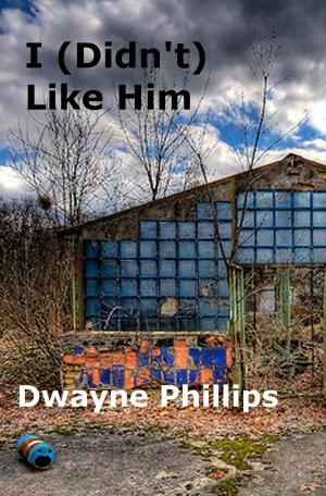 Cover of the book I (Didn't) Like Him by Amy Marschak