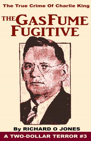 Book cover of The Gas Fume Fugitive: The True Crime of Charlie King
