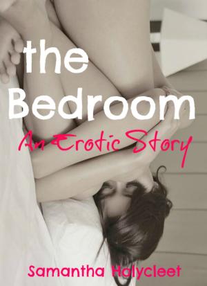 Cover of the book The Bedroom: An Erotic Story by Pat Garrett Jr