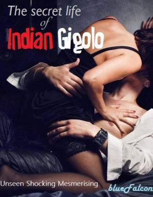 bigCover of the book The Secret Life of Indian Gigolo by 