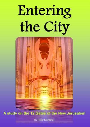 Cover of the book Entering the City by Gileade Borges