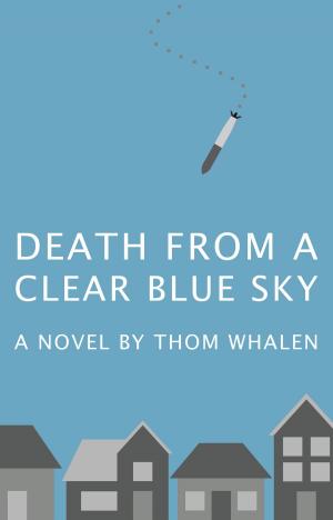 Book cover of Death from a Clear Blue Sky