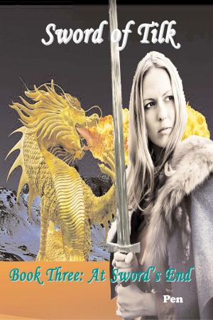 Cover of the book Sword of Tilk Book Three: At Sword's End by SD Tanner