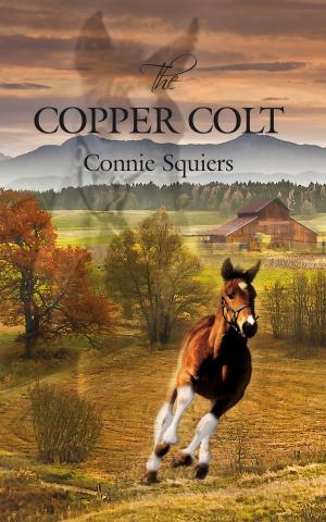 Book cover of The Copper Colt