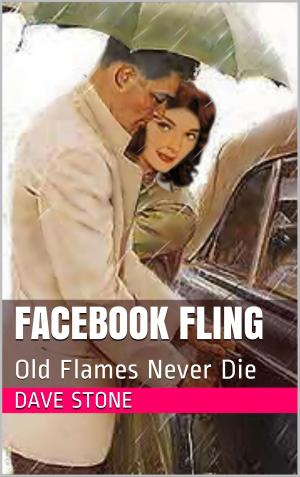 Cover of the book Facebook Fling by Kristina Weaver