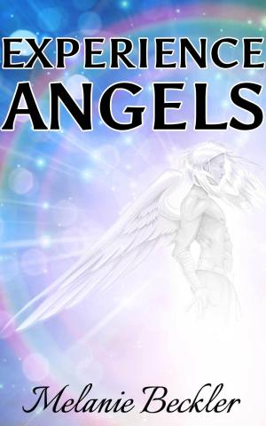 Book cover of Experience Angels