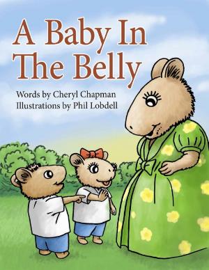 Cover of the book A Baby in the Belly by Mary Risk