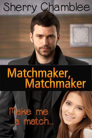 Book cover of Matchmaker, Matchmaker, Make Me a Match