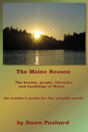 bigCover of the book The Maine Reason by 