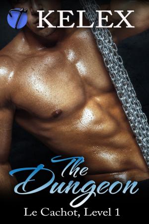 Cover of the book The Dungeon (Le Cachot, Level One) by Victoria Vallo