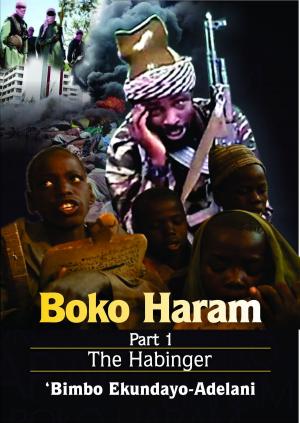 Cover of the book Boko Haram by Lane Hayes