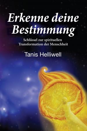 Cover of the book Erkenne deine Bestimmung by Stan Kahn