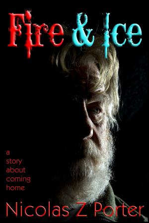 Cover of the book Fire & Ice by Nicolas Z Porter
