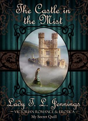 Book cover of The Castle in the Mist ~ Victorian Romance and Erotica