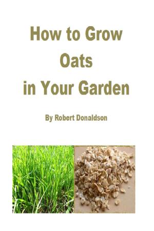 Cover of How to Grow Oats in Your Garden