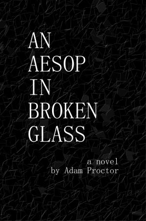 Cover of An Aesop in Broken Glass