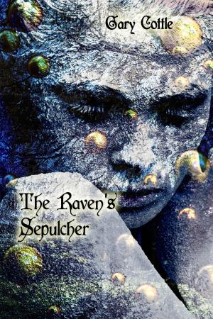 Cover of the book The Raven's Sepulcher by Mark Finnemore