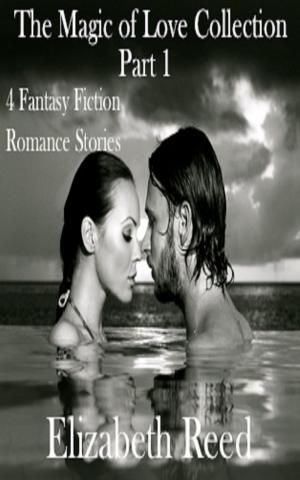 bigCover of the book The Magic of Love Collection Part 1: Four Fantasy Fiction Steamy Romance Stories by 