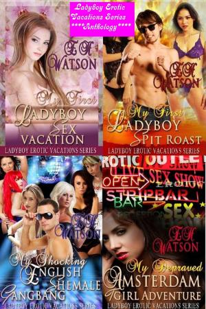Book cover of Ladyboy Erotic Vacations Series Anthology