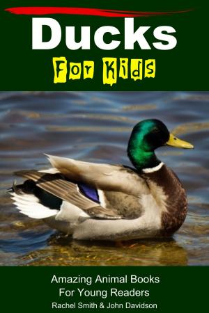 Cover of the book Ducks For Kids: Amazing Animal Books For Young Readers by Elda Watulo, John Davidson