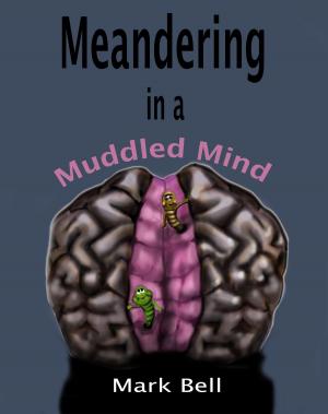 Book cover of Meandering in a Muddled Mind