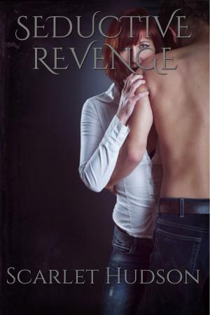 Book cover of Seductive Revenge