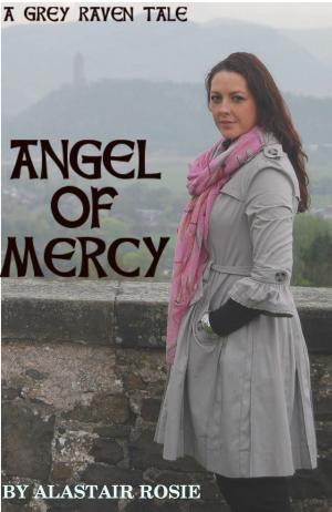 Cover of the book Angel of Mercy by Jo Anderton
