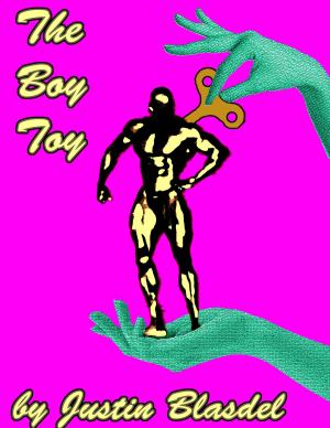 bigCover of the book The Boy Toy by 