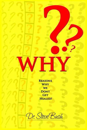 Cover of the book Why by Dr. Shaun McClenny