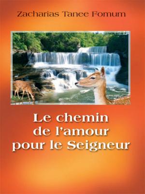Book cover of Le Chemin De L’amour Pour Le Seigneur (la Romance Spirituelle)