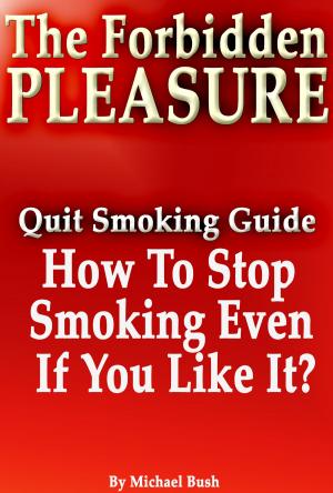 Book cover of The Forbidden Pleasure: How to Stop Smoking Even If You Like It?