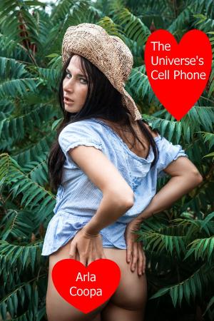 Book cover of The Universe’s Cell Phone: A Wives Gone Crazy Story