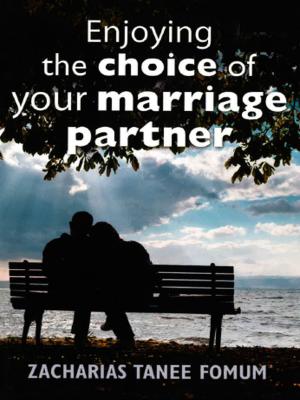 Cover of the book Enjoying The Choice of Your Marriage Partner by Jürgen Leykamm