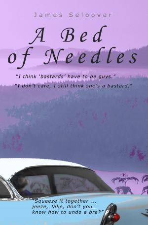 Cover of the book A Bed of Needles by Donald Goodpaster
