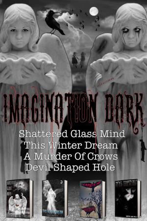 Book cover of Imagination Dark
