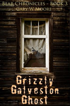Cover of the book Grizzly Galveston Ghost: Bear Chronicles Book 3 by Ajatsa Lyng