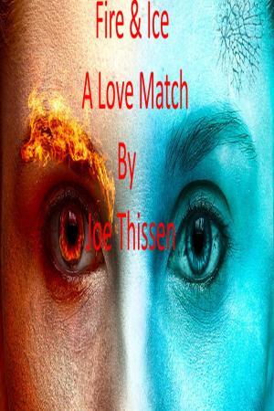 Book cover of Fire and Ice A Love Match