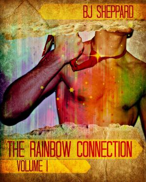 Cover of the book The Rainbow Connection: Volume I by Laura du Pre